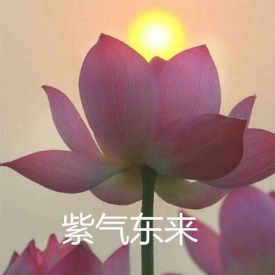 战术之地最新版下载